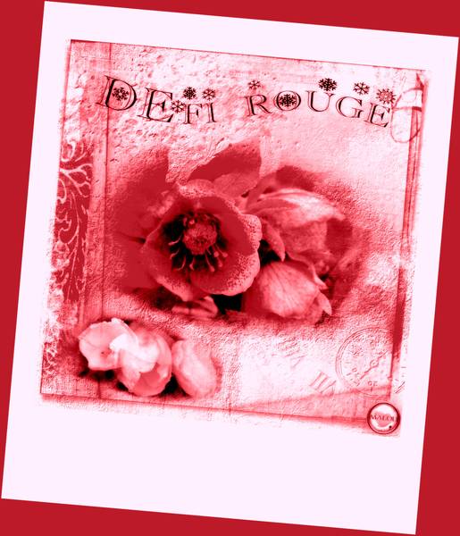 Défi Laurette - semaine 07 - rouge