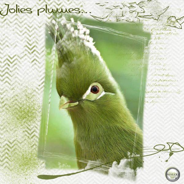 Défi Laurette - semaine 09 - vert