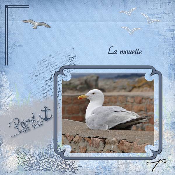 Défi Laurette semaine 15 - Cadre et 2 gabarits