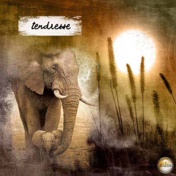 Défi Laurette - semaine 22 - Maman et son petit.