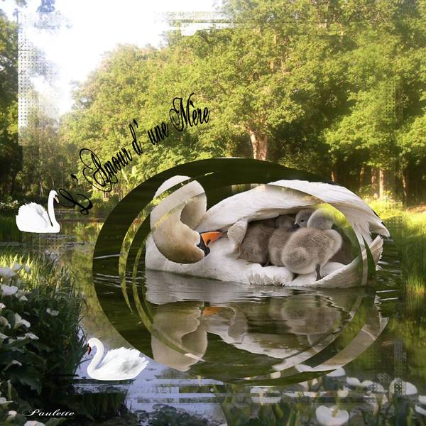 defi laurette semaine 22