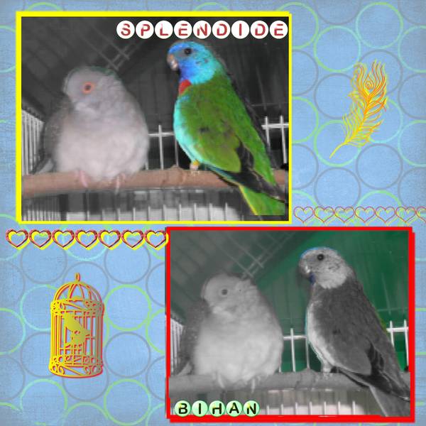 defi laurette semaine 3