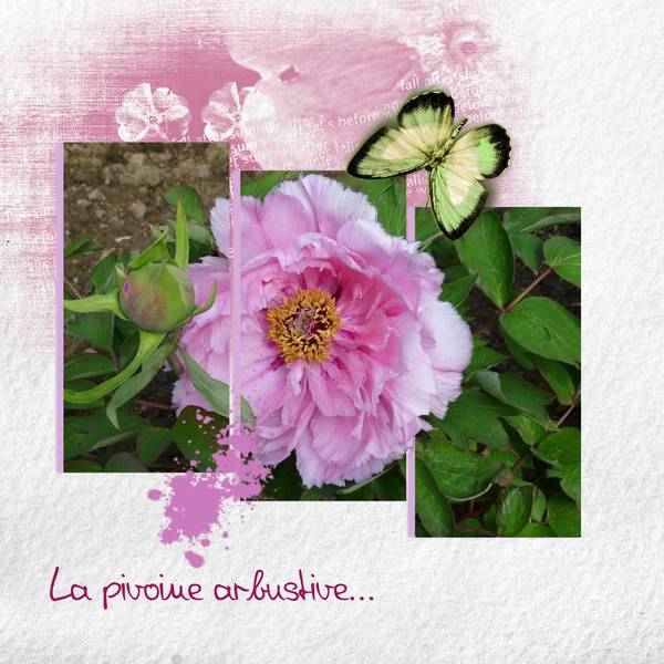 Défi Laurette - semaine 31.