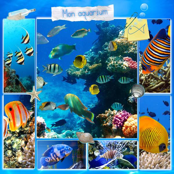 Défi Laurette template