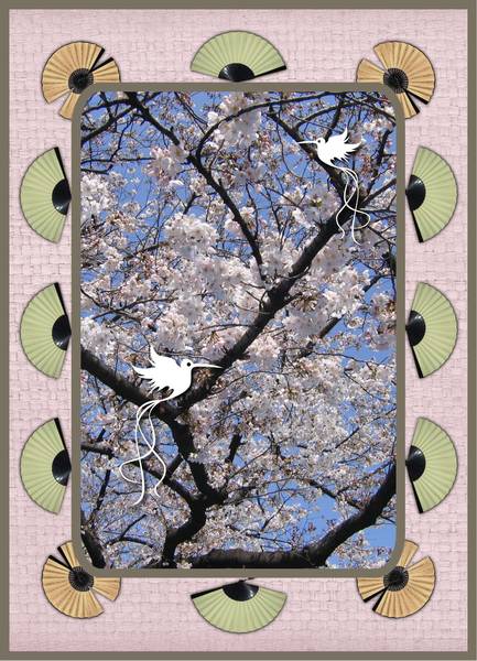 Défi le Jardin aux oiseaux de Max