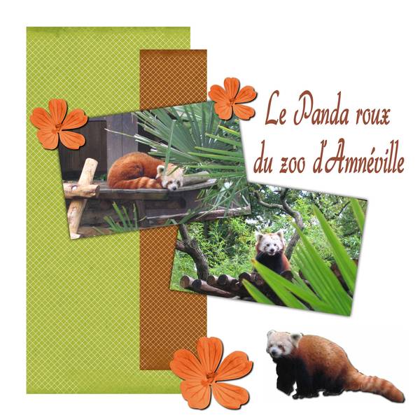 Défi le Morpion de Flomelle