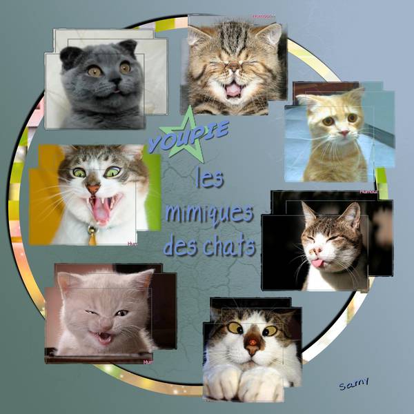 défi les mimiques de marie louise