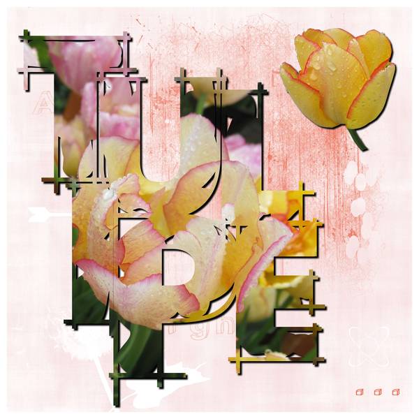 Défi Lettres de Mimidesaujon