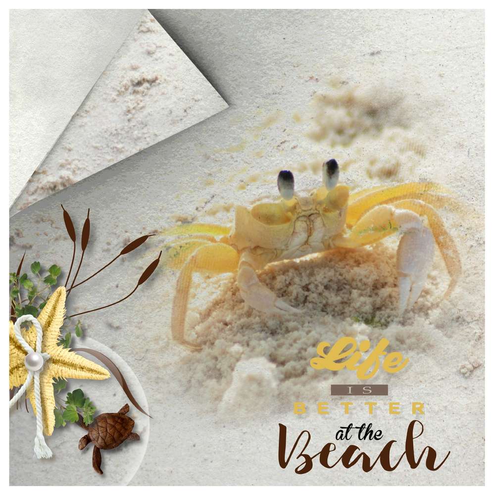 Defi Life is better at the beach