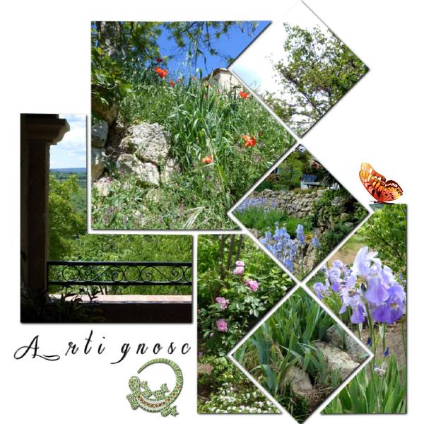 défi losange Laurette