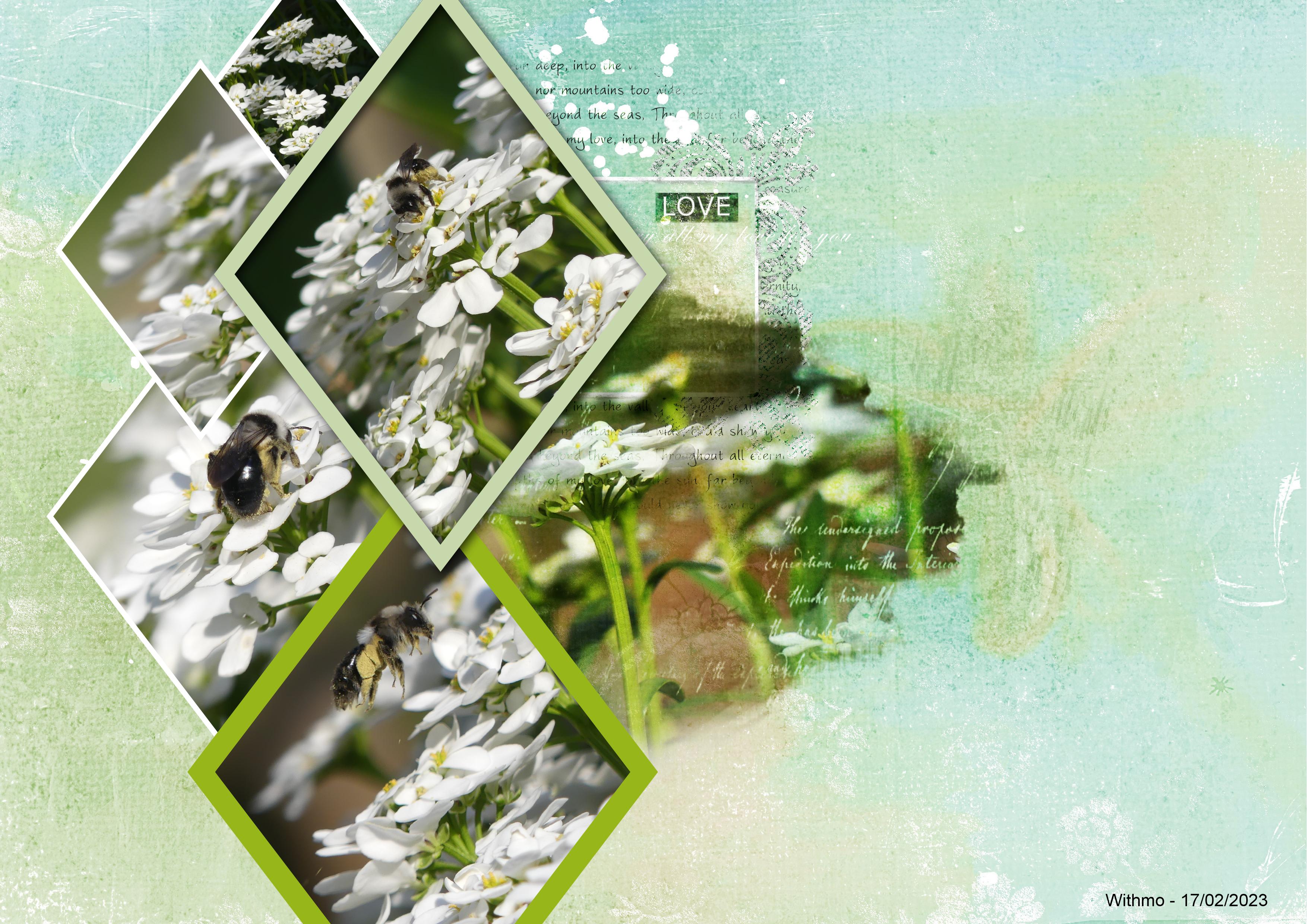 defi losanges Chlodie.jpg