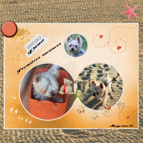 DÉFI MAMYROSE - DINA