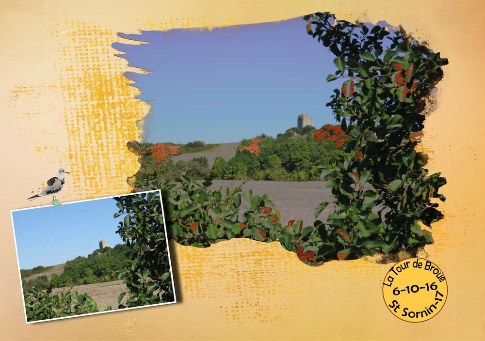 défi Mamyrose-effet neige-automne