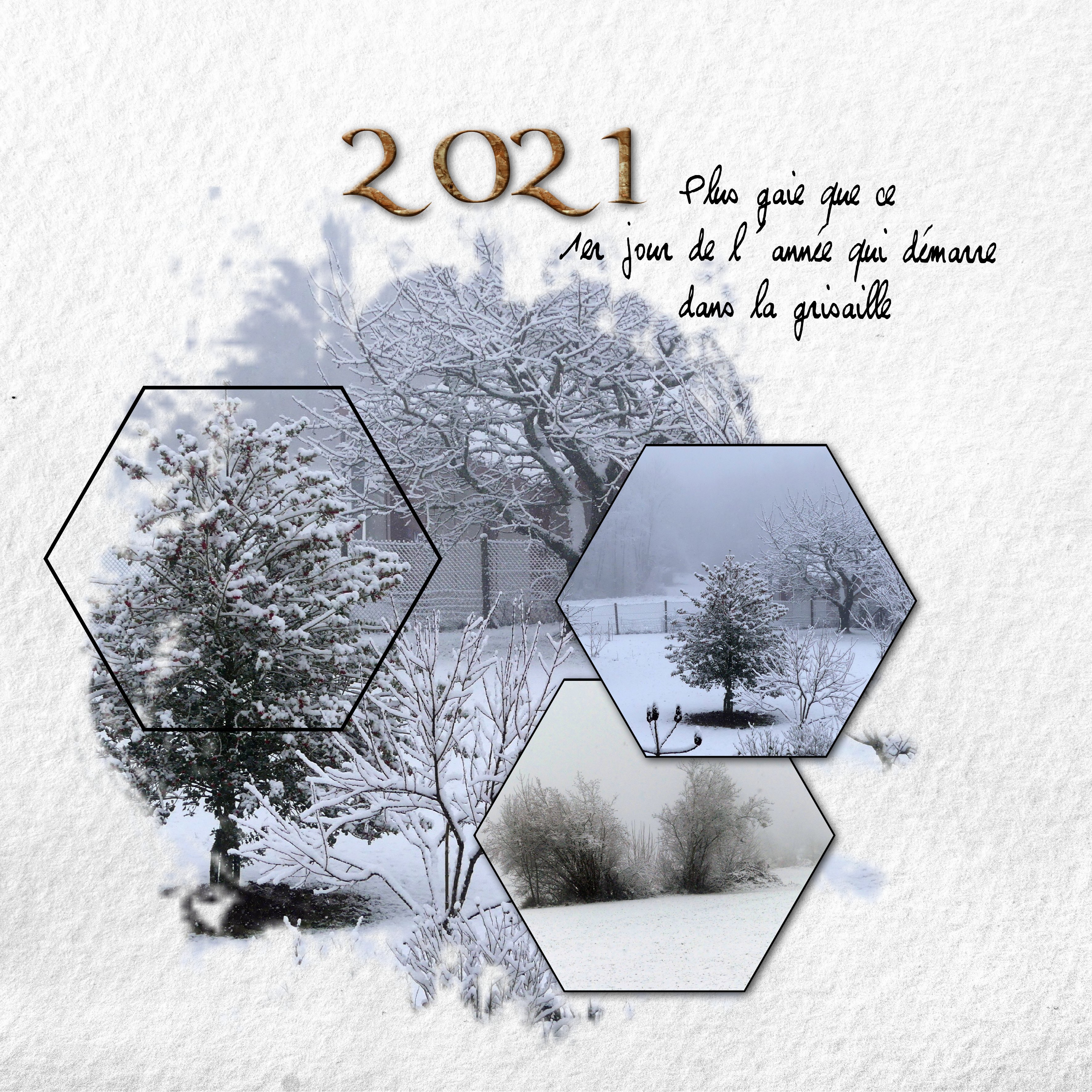 defi mamyrose janvier 2021.jpg