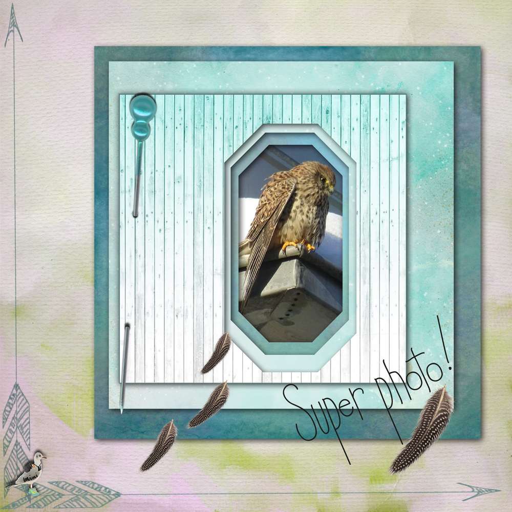 défi Mamyrose-janvier