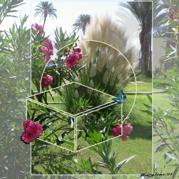 Défi MAMYROSE - JARDIN