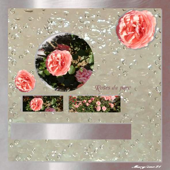 DÉFI MAMYROSE-ROSES