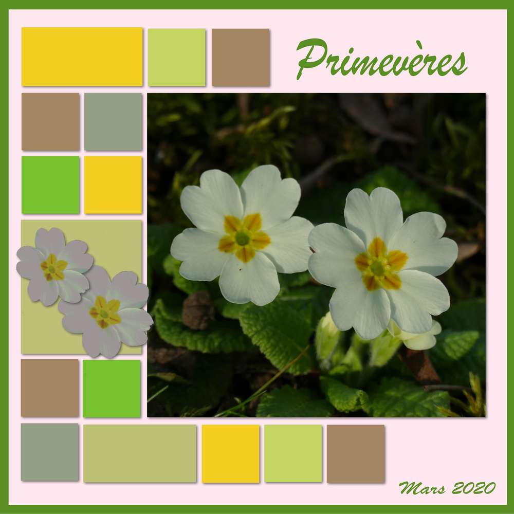 Défi Marie Farnce  1