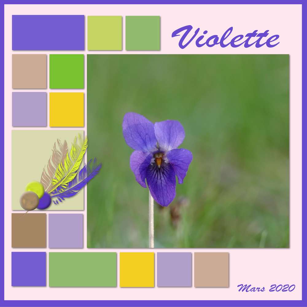 Défi Marie Farnce  2