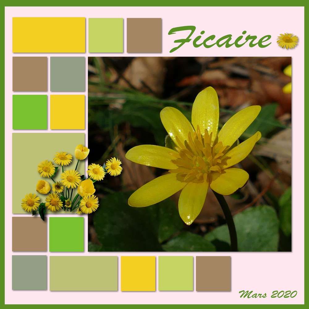 Défi Marie Farnce  3