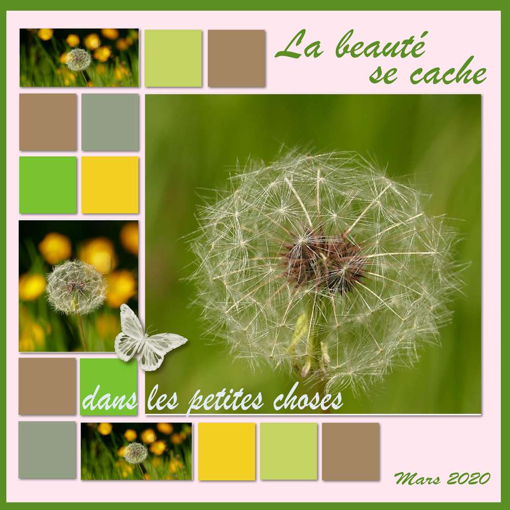 Défi Marie France  4