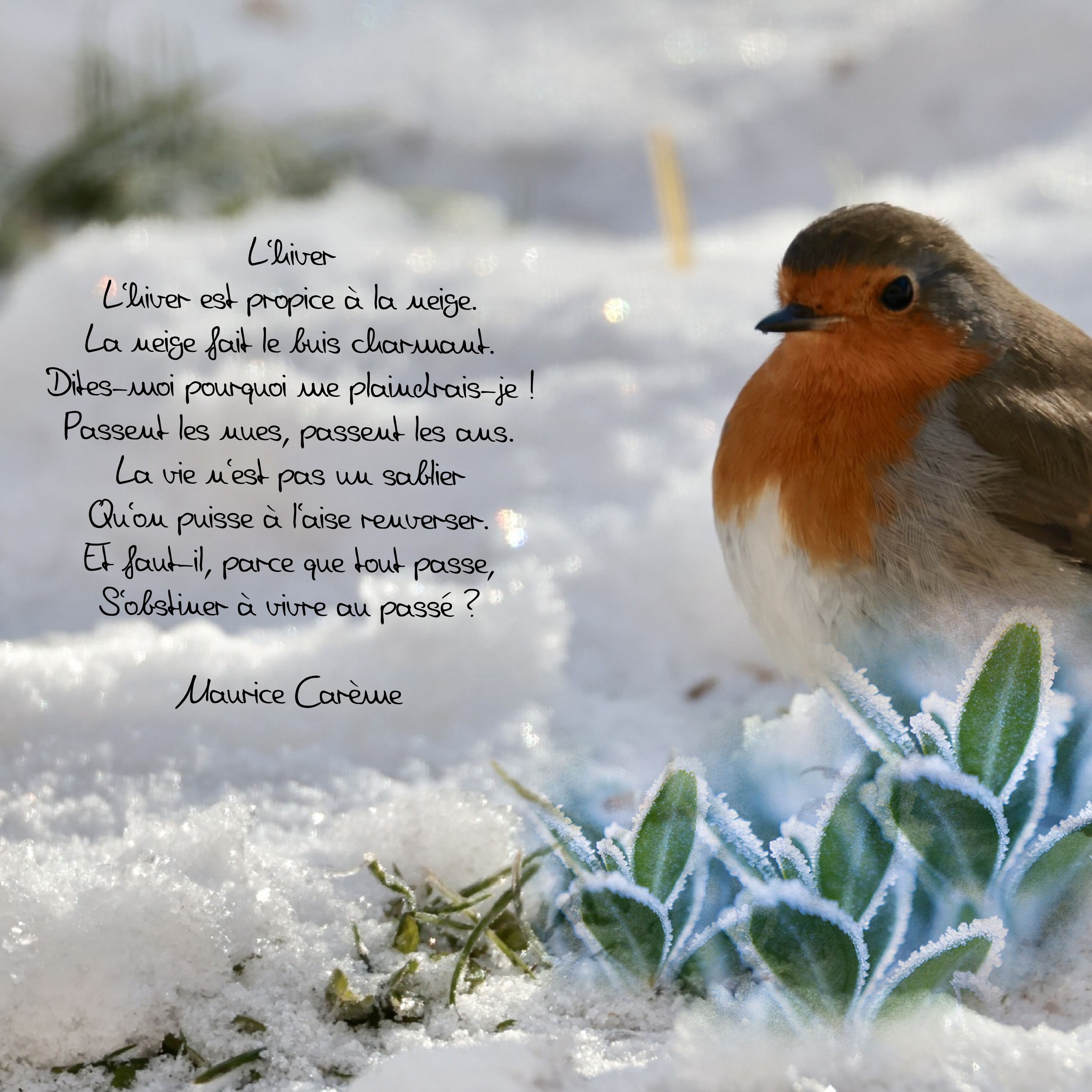 defi marie rose maurice carème l'hiver.jpg