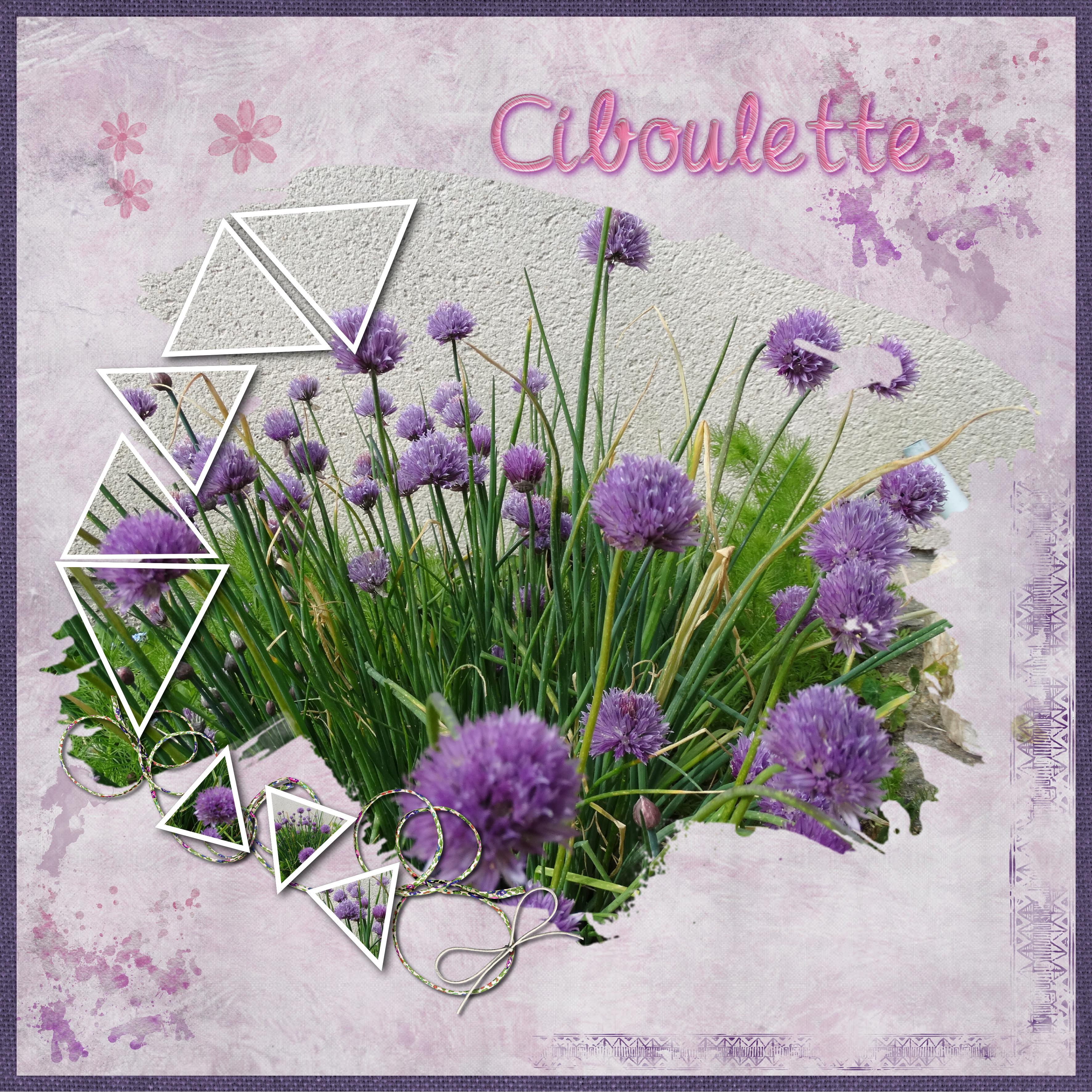 défi Marie-Rose moyson defilift11.nov 2022.jpg