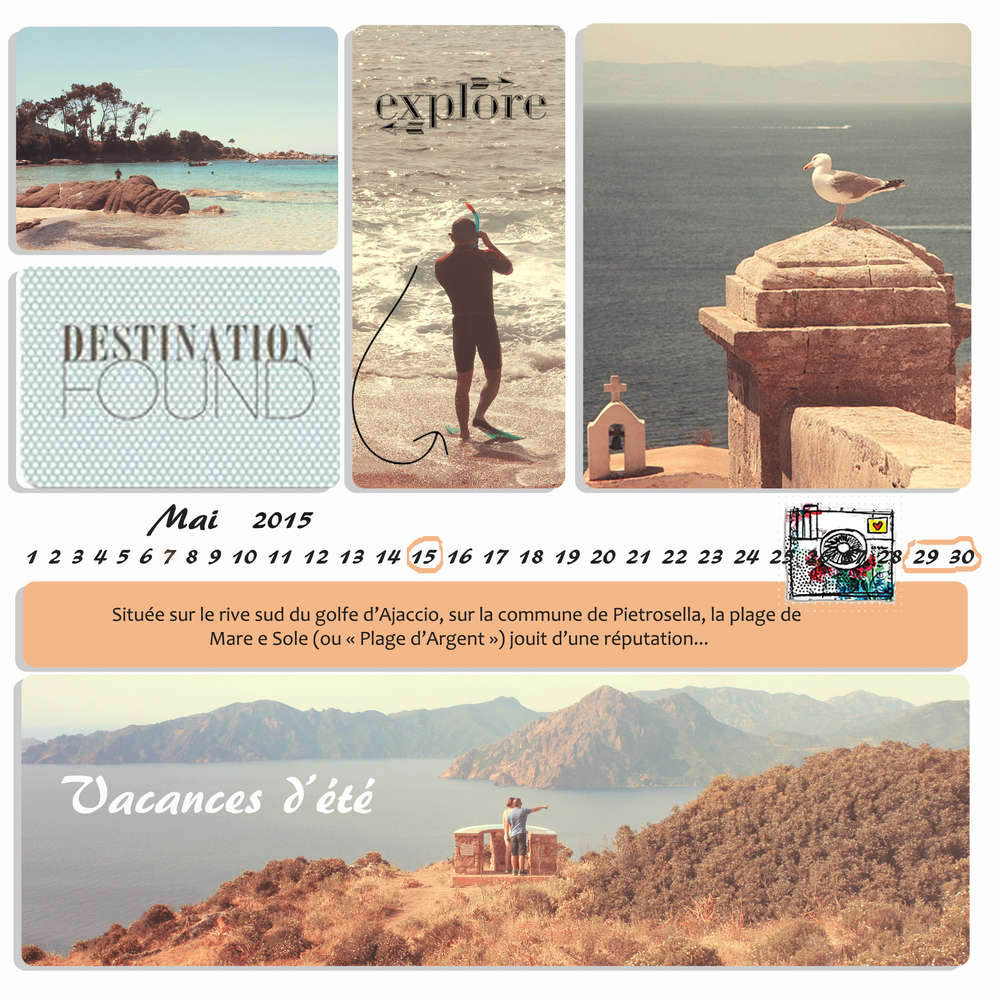 Defi Mars project life