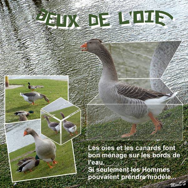 Défi Martinas Boite transparente.