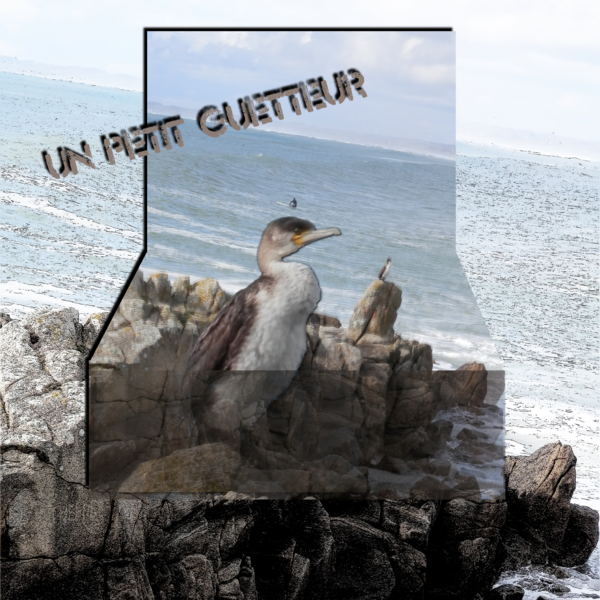 défi martinas boîte