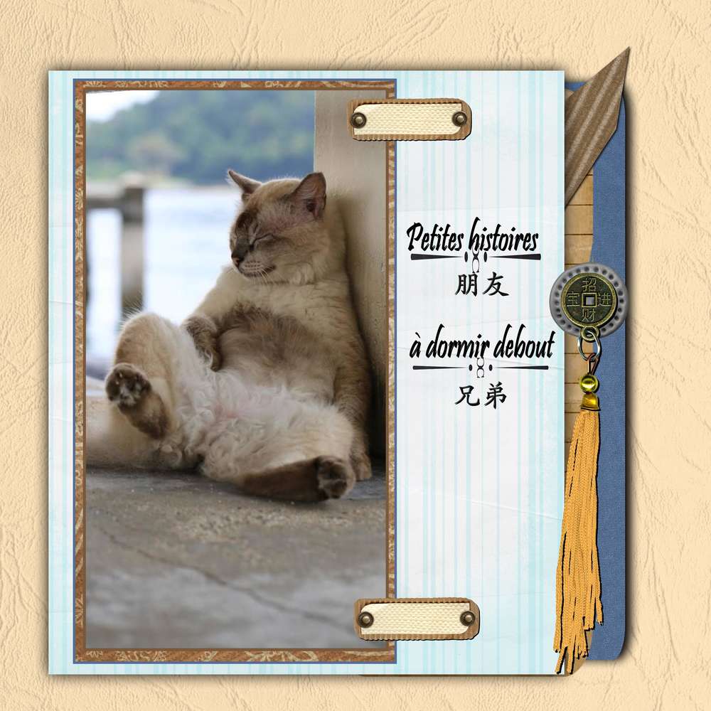 Défi Martinas C&amp;S