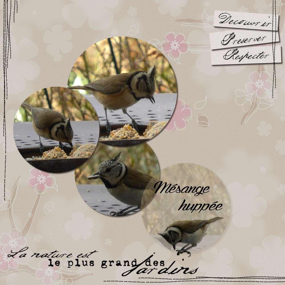 Defi Martinas combo fevreier