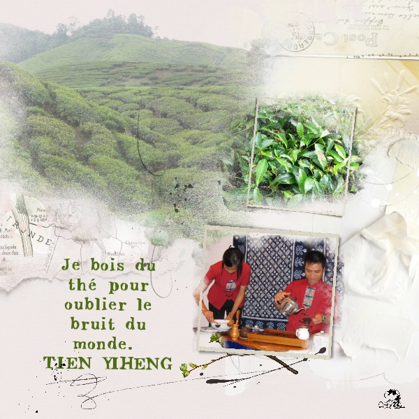 - Défi Martinas thé-