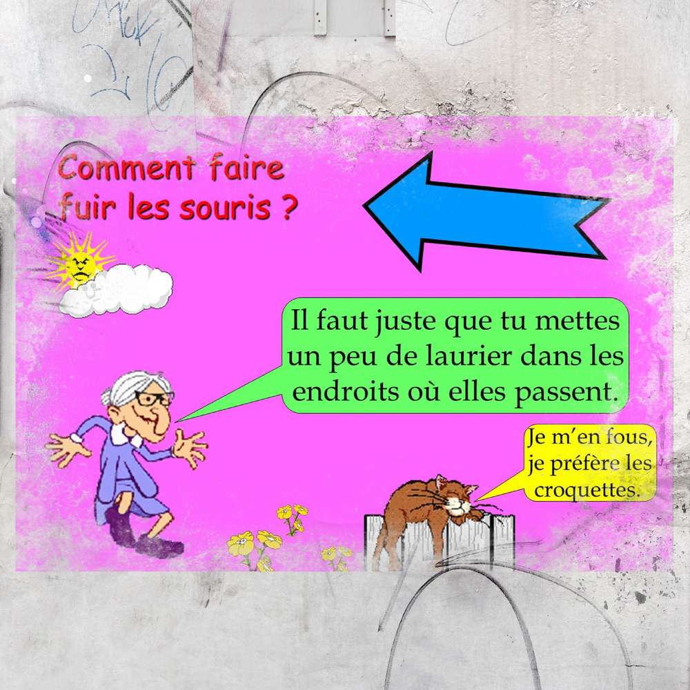 Défi Martinas : trucs de Grand'Mère