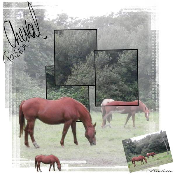 defi martine  janvier 2015