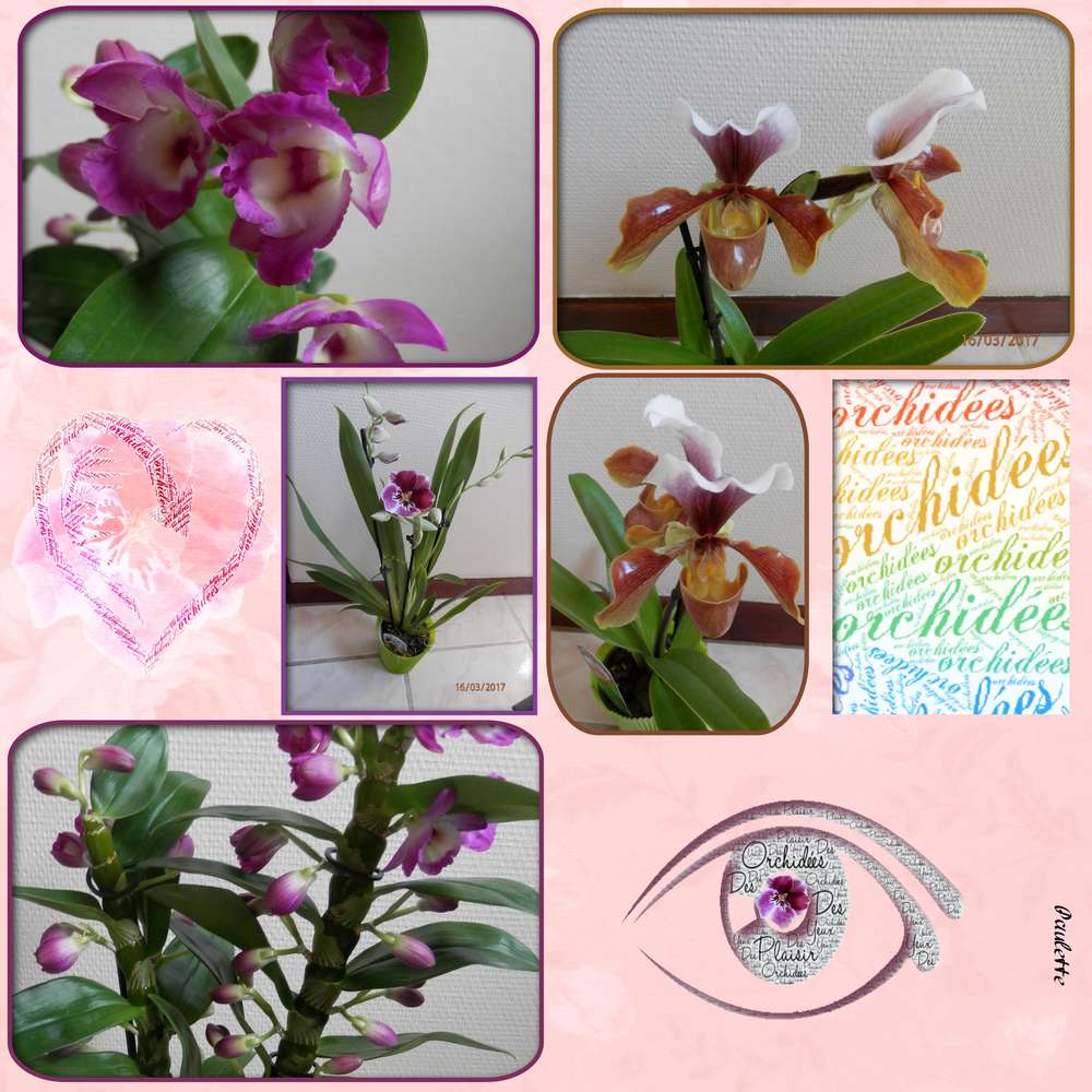 defi Martine project life mars