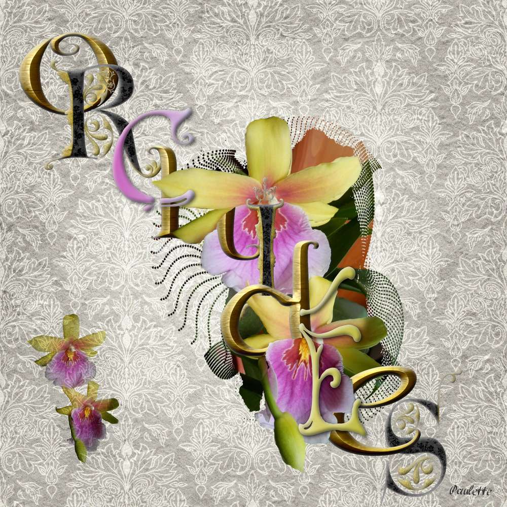 defi Martne entrelacs typographie