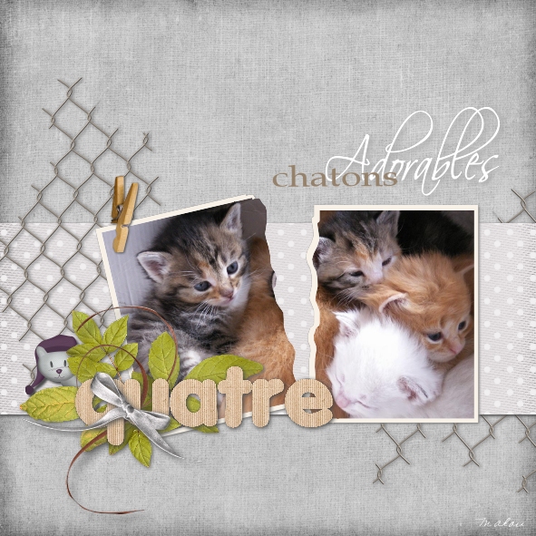 Défi Marylene 21 et Max