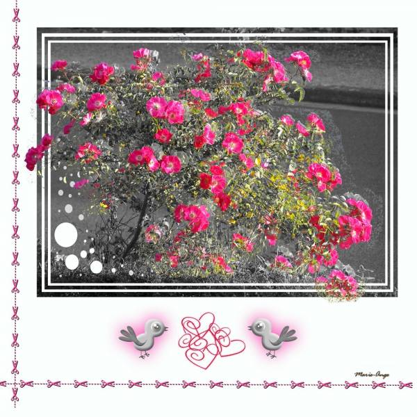 défi Marylène N/blc &amp;amp; C