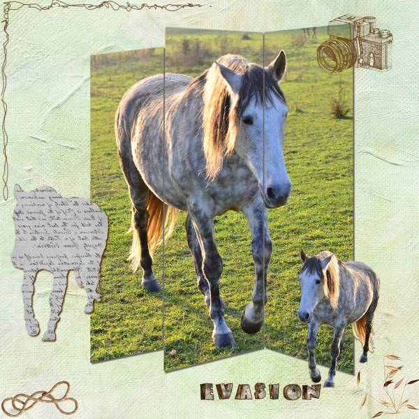 DEFI MASQUE MAMYROSE