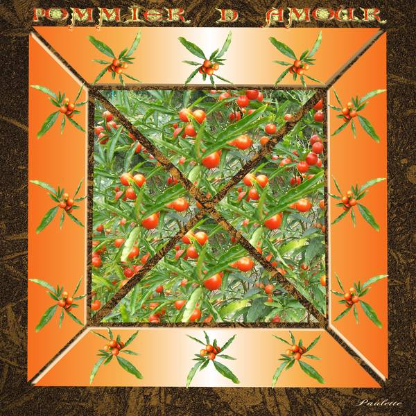 defi max 2° baies pour les oiseaux