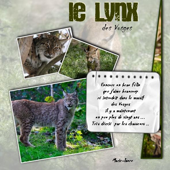 --Défi Max --Animaux