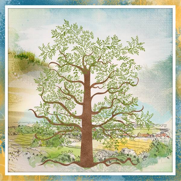 Défi Max - Arbre de vie