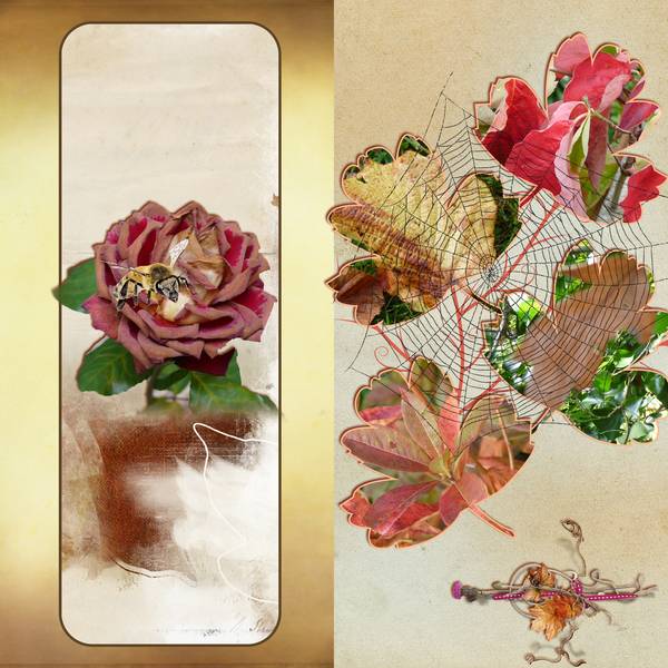 Défi Max - automne feuillage et insecte.