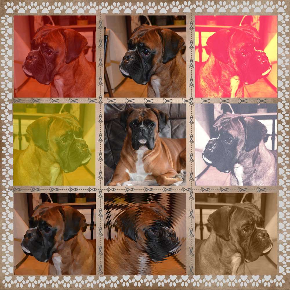 défi Max avec "Max"