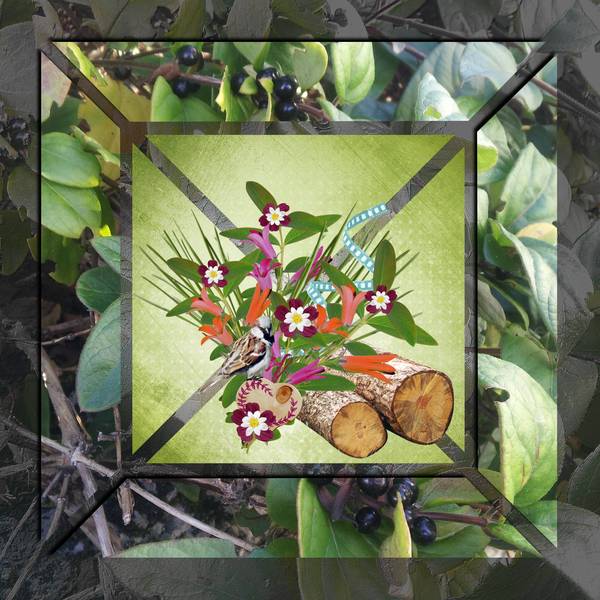 defi Max baie pour les oiseaux