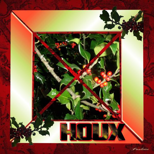 défi max baies pour les oiseaux