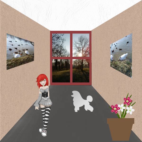 défi Max  cadre de vie