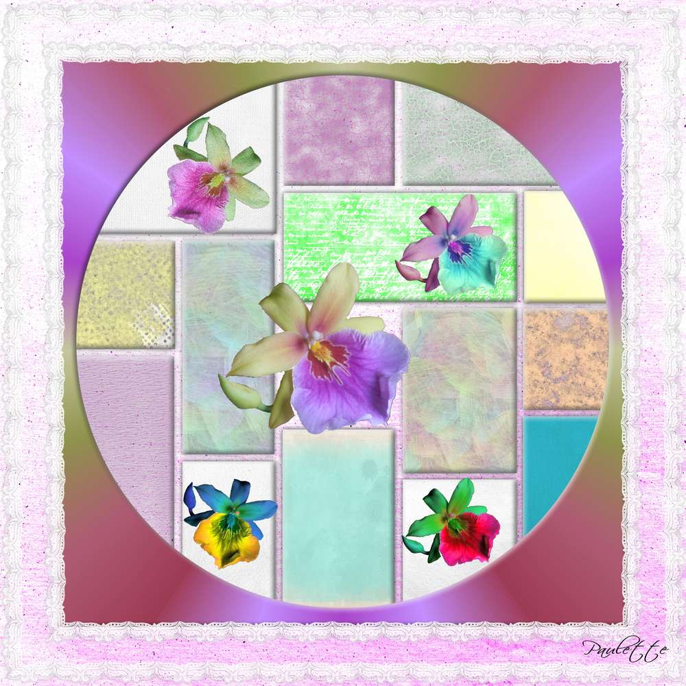 defi max changer la couleur d'une fleur