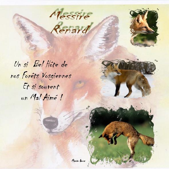 Défi Max concernant les animaux de nos régions